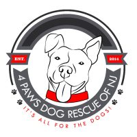 4 Paws Dog Rescue